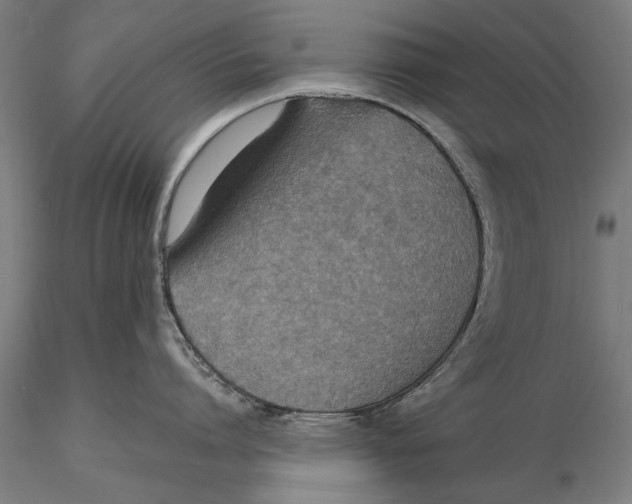 X0000115490864200912041014