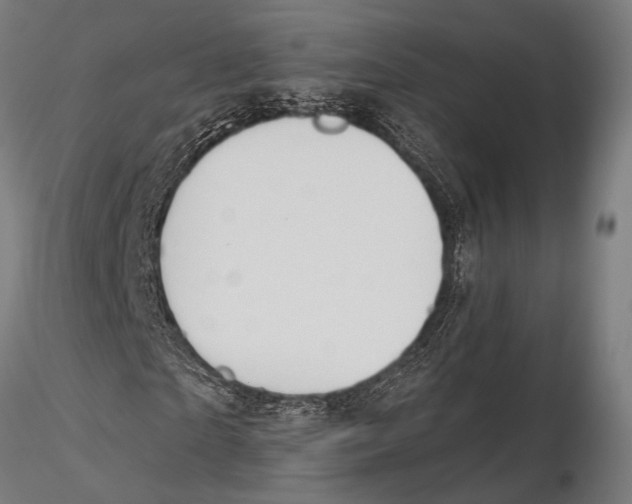 X0000115490865200912041013