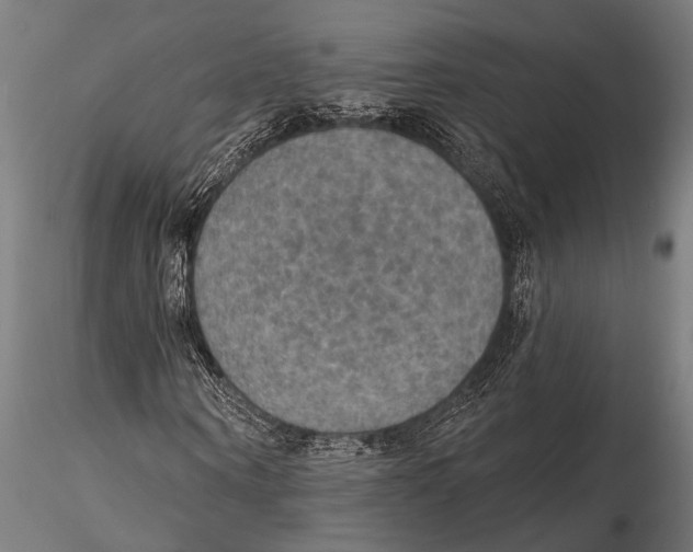 X0000115490866200912041013