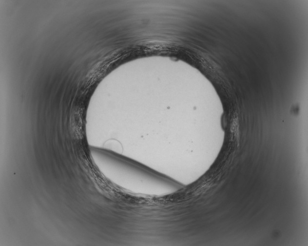 X0000115490868200912041013