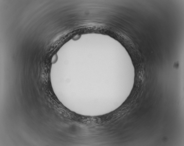 X0000115490869200912041013