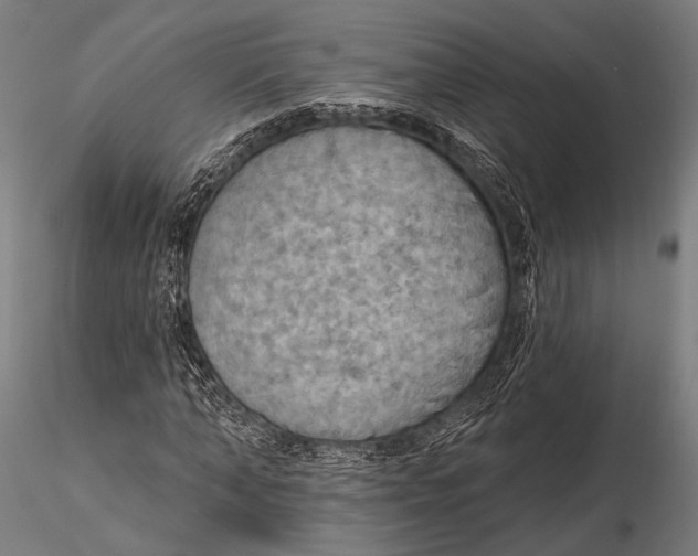X0000115490870200912041013