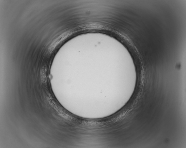 X0000115490873200912041013