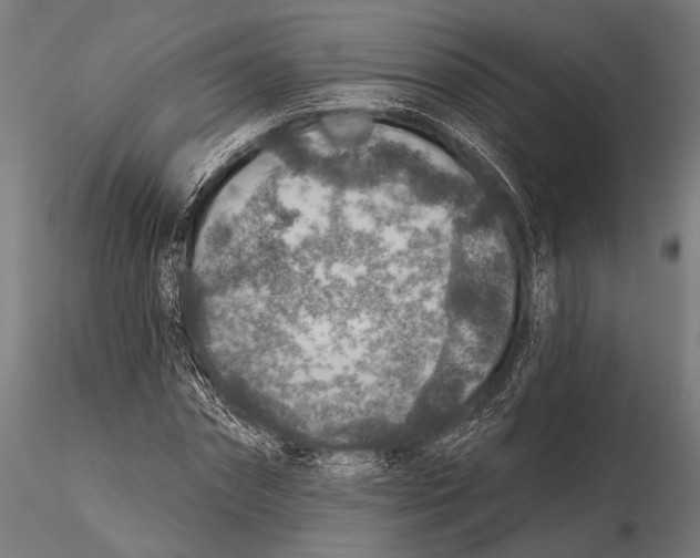 X0000115490874200912041013