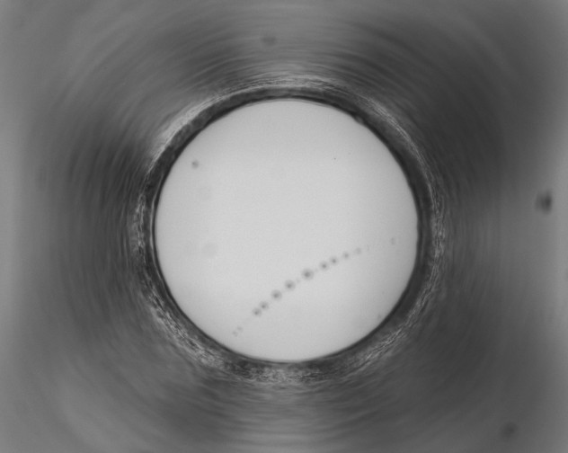 X0000115490875200912041013