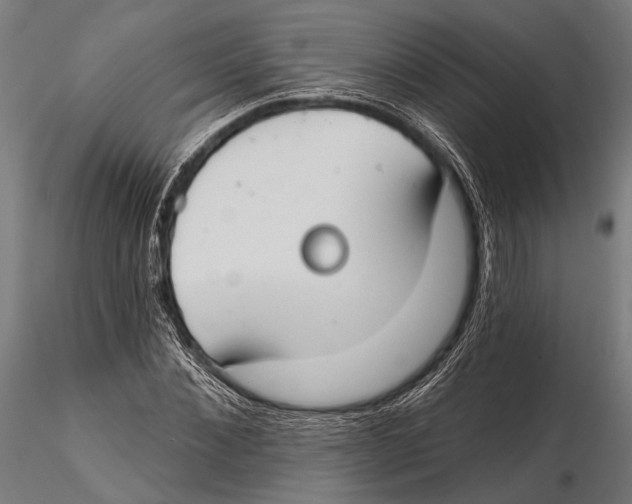 X0000115490876200912041013