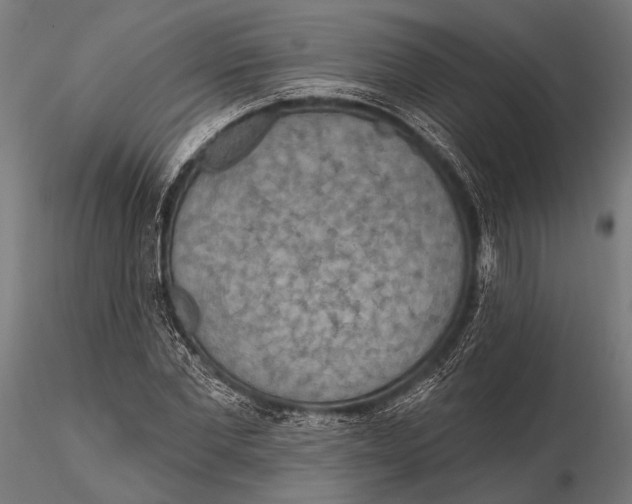X0000115490877200912041013
