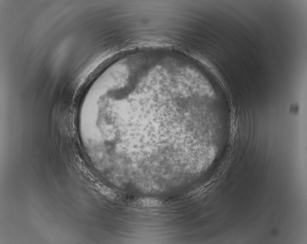 X0000115490878200912041013
