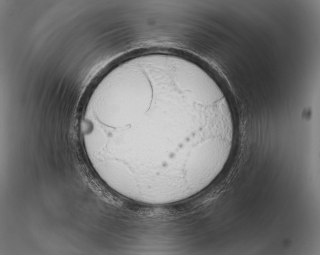 X0000115490879200912041013