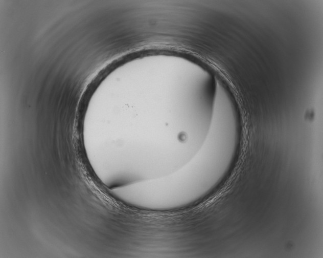 X0000115490880200912041013