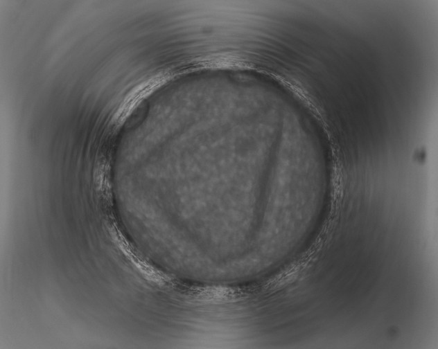 X0000115490881200912041013