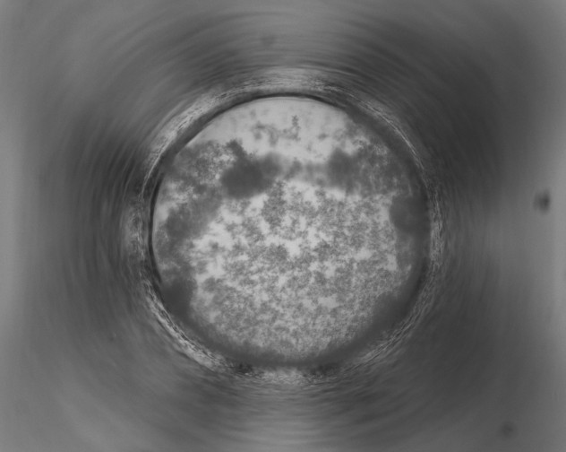 X0000115490882200912041013