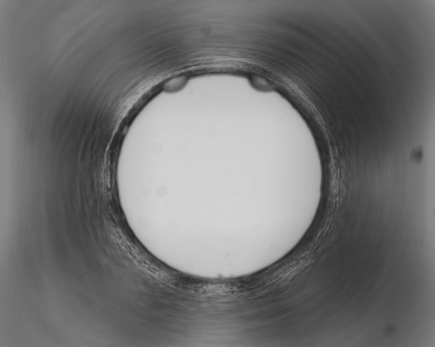 X0000115490883200912041013