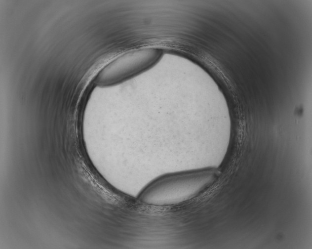 X0000115490884200912041013