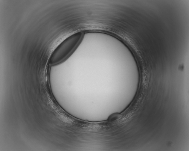 X0000115490885200912041013