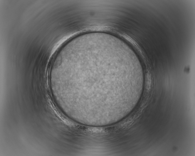 X0000115490886200912041013