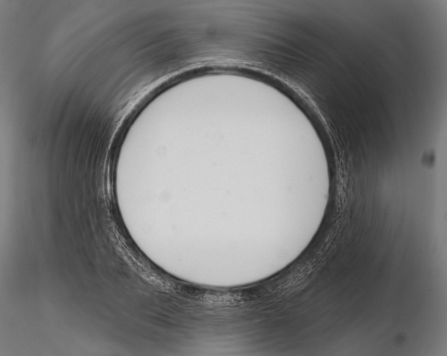 X0000115490887200912041013
