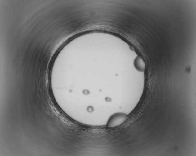 X0000115490888200912041013