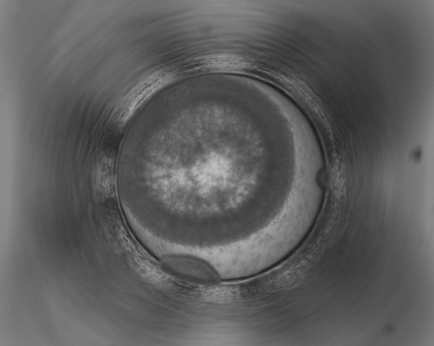 X0000115490889200912041013
