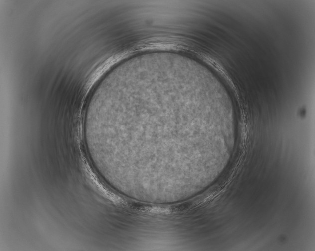 X0000115490890200912041013