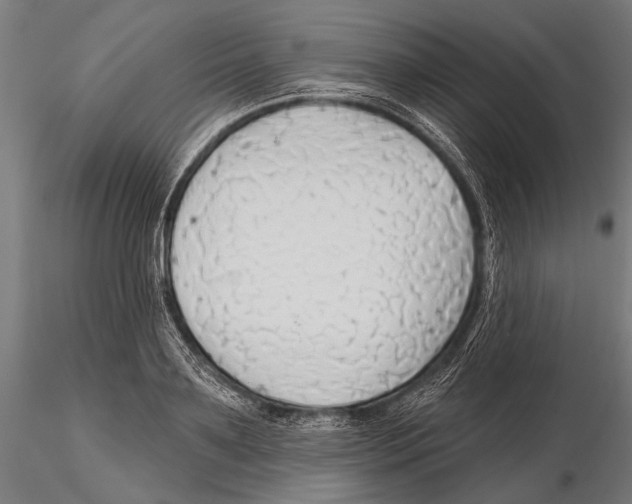 X0000115490891200912041013