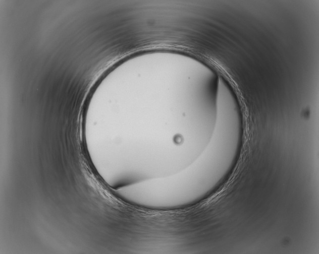 X0000115490892200912041013