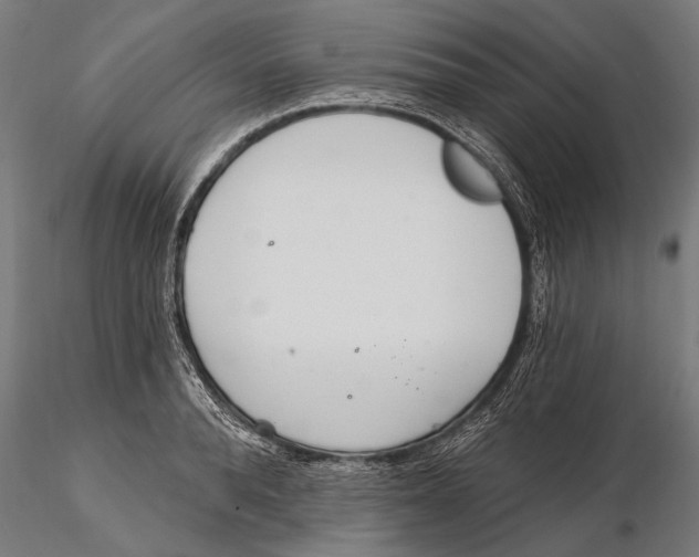 X0000115490896200912041013