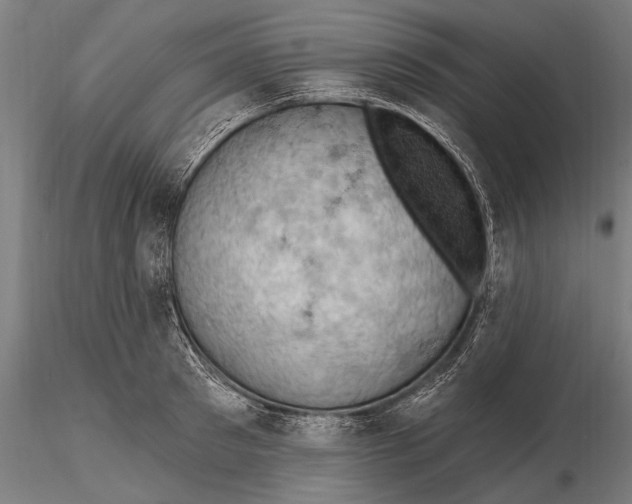 X0000115490897200912041013
