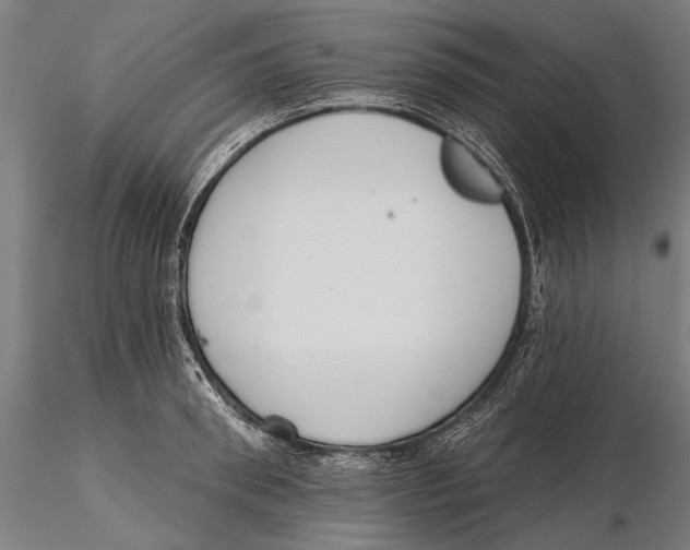X0000115490898200912041013