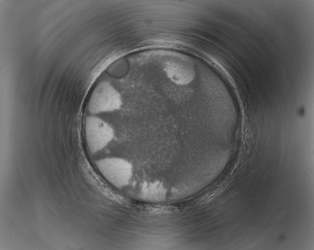 X0000115490899200912041013