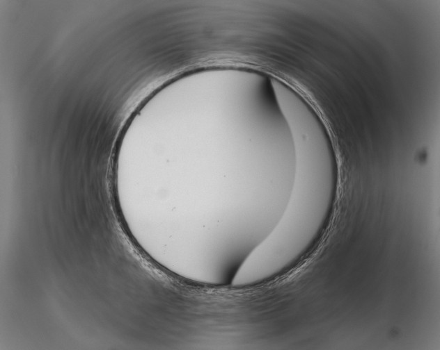 X0000115490901200912041013
