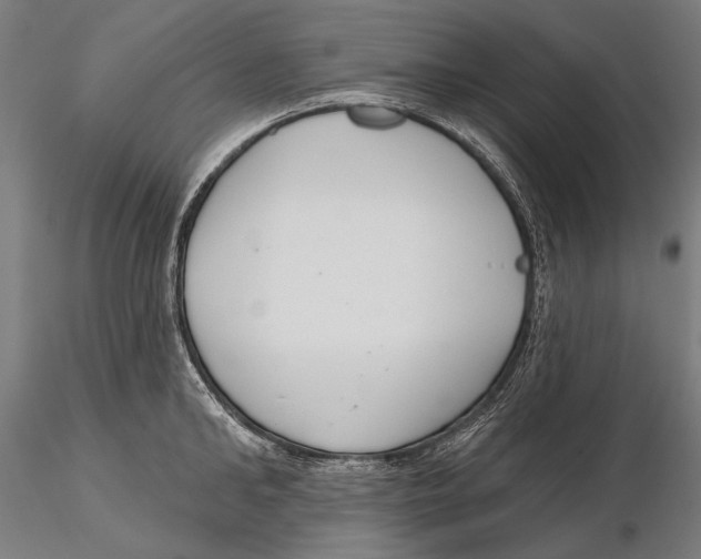 X0000115490902200912041013