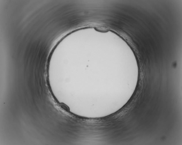 X0000115490904200912041013
