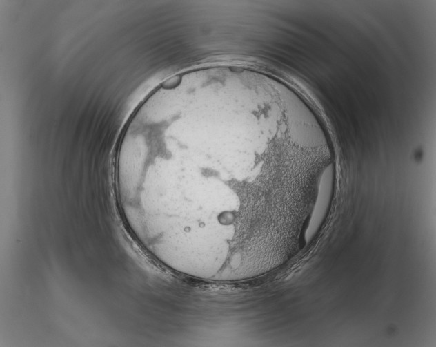 X0000115490907200912041013