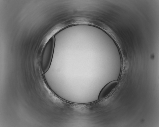 X0000115490909200912041012