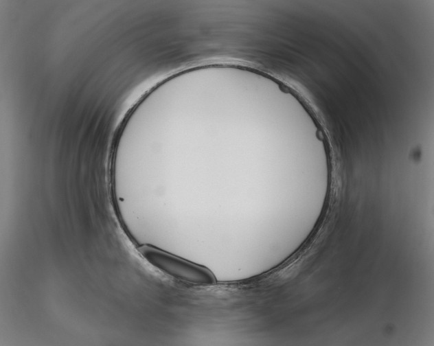 X0000115490910200912041012