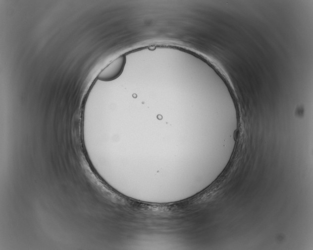 X0000115490911200912041012