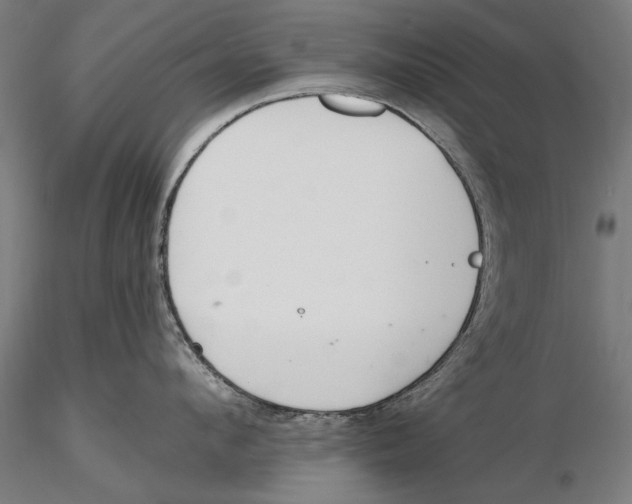 X0000115490912200912041012