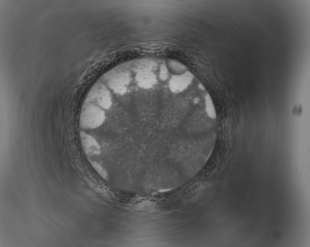 X0000115490913200912041012