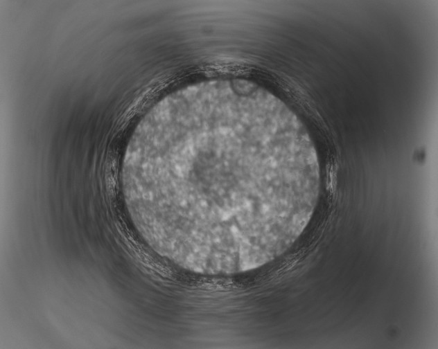 X0000115490915200912041012