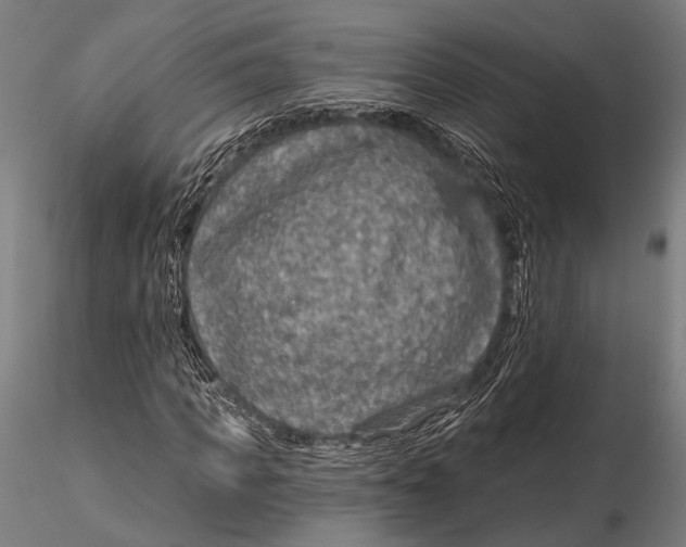 X0000115490917200912041012