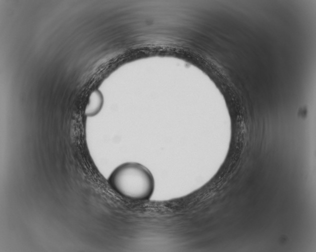 X0000115490918200912041012
