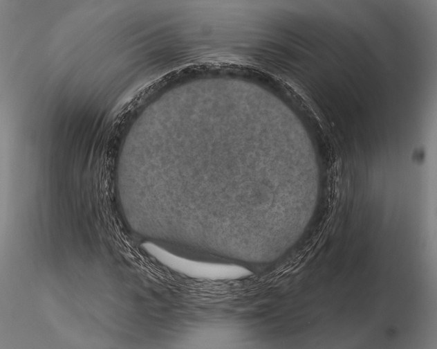 X0000115490919200912041012
