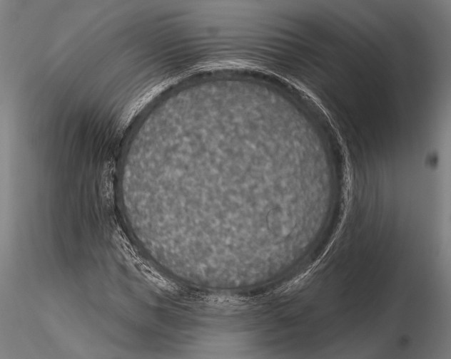 X0000115490921200912041012