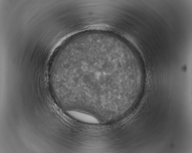 X0000115490923200912041012