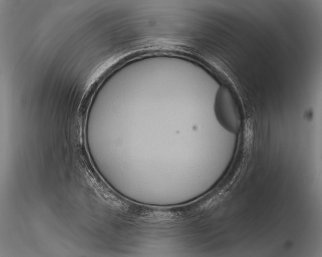 X0000115490925200912041012