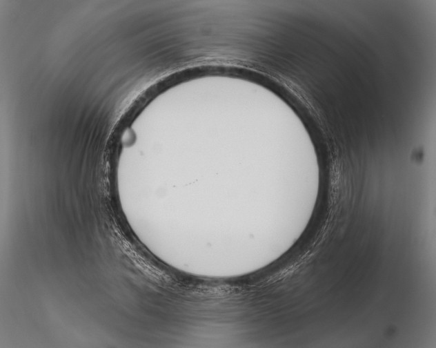 X0000115490926200912041012