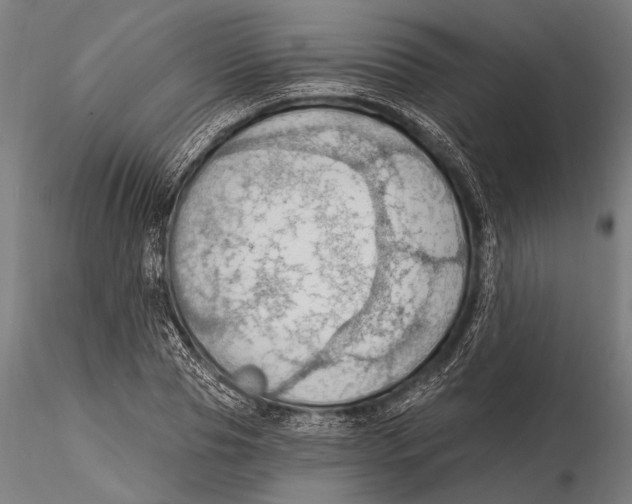 X0000115490929200912041012
