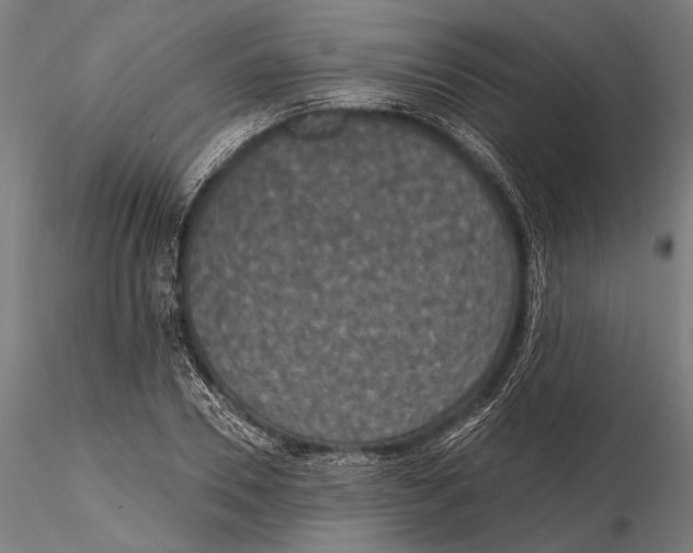 X0000115490930200912041012
