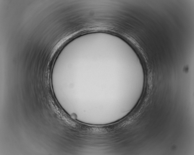 X0000115490933200912041012